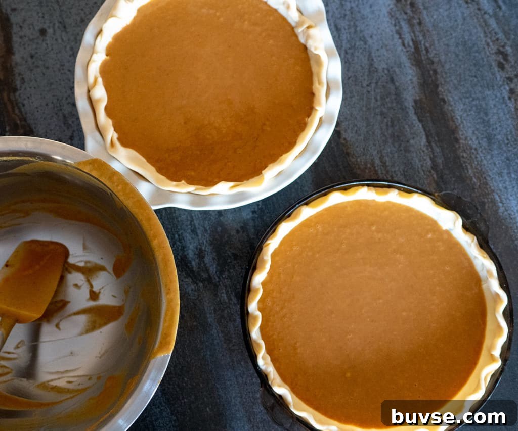 two pie shells filled with pumpkin pie filling