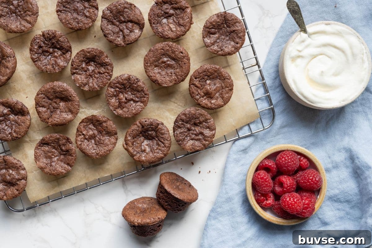 Fudgy Chocolate Sourdough Brownie Bites 2 Overhead view of sourdough chocolate brownie bites cooling on a wire rack with whipped cream and fresh raspberries for serving.