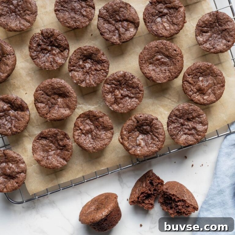 Fudgy Chocolate Sourdough Brownie Bites 7 Sourdough chocolate brownie bites cooling on a wire rack with one brownie bite broken open to show the inside texture.