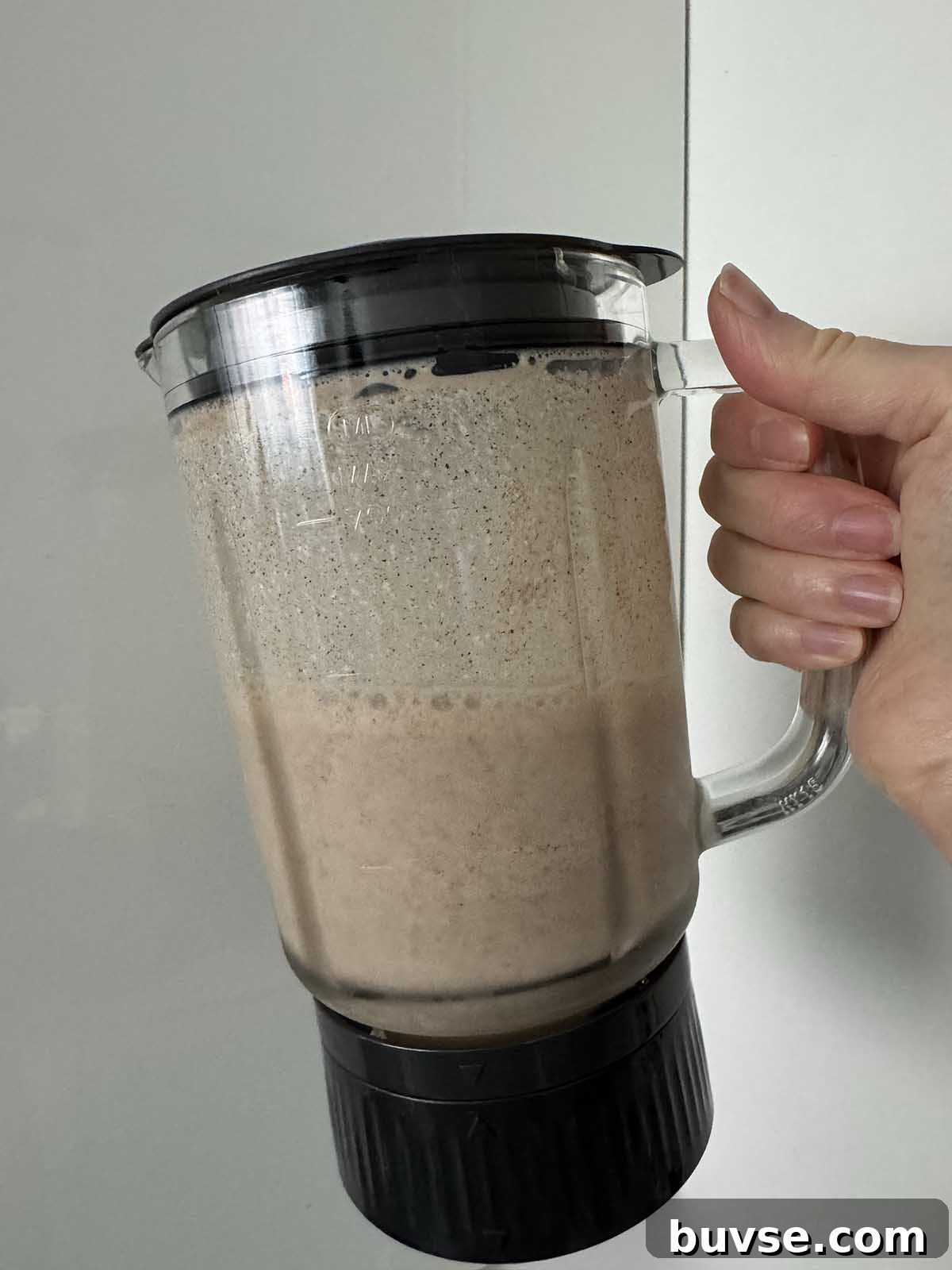 Gingerbread Ice Cream Recipe for the Ninja Creami 4 Blended ingredients
