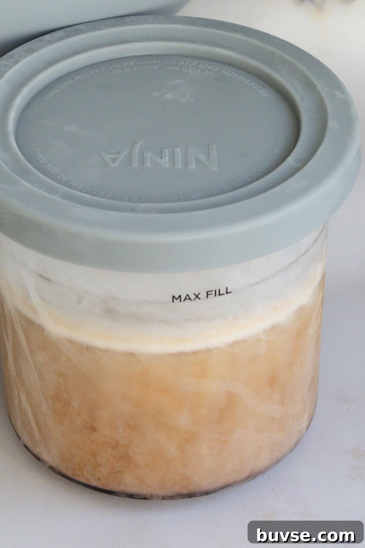Gingerbread Ice Cream Recipe for the Ninja Creami 6 Frozen gingerbread ice cream in Ninja Creami container