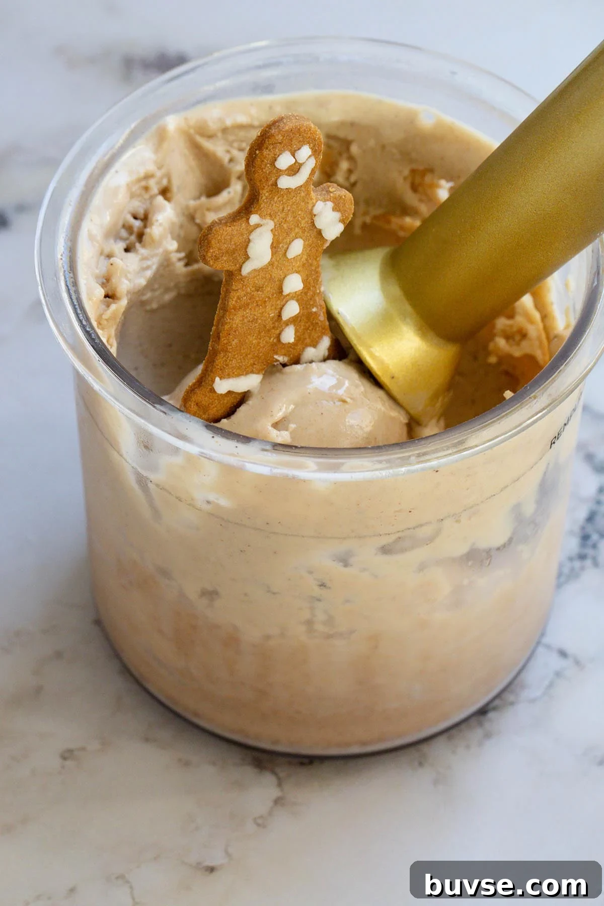 Gingerbread Ice Cream Recipe for the Ninja Creami 10 Ninja Creami gingerbread ice cream
