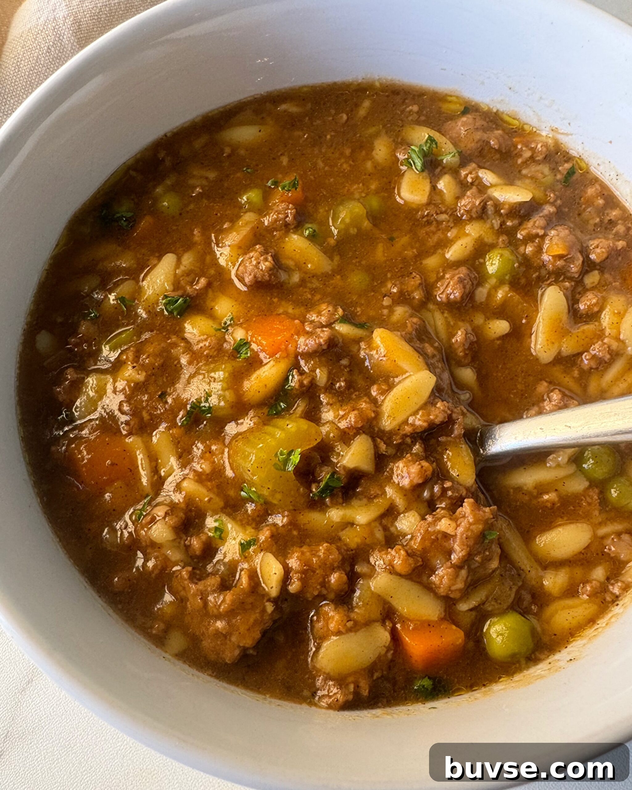 Slow Cooker Beef and Pumpkin Orzo Soup 6 img 24619 5