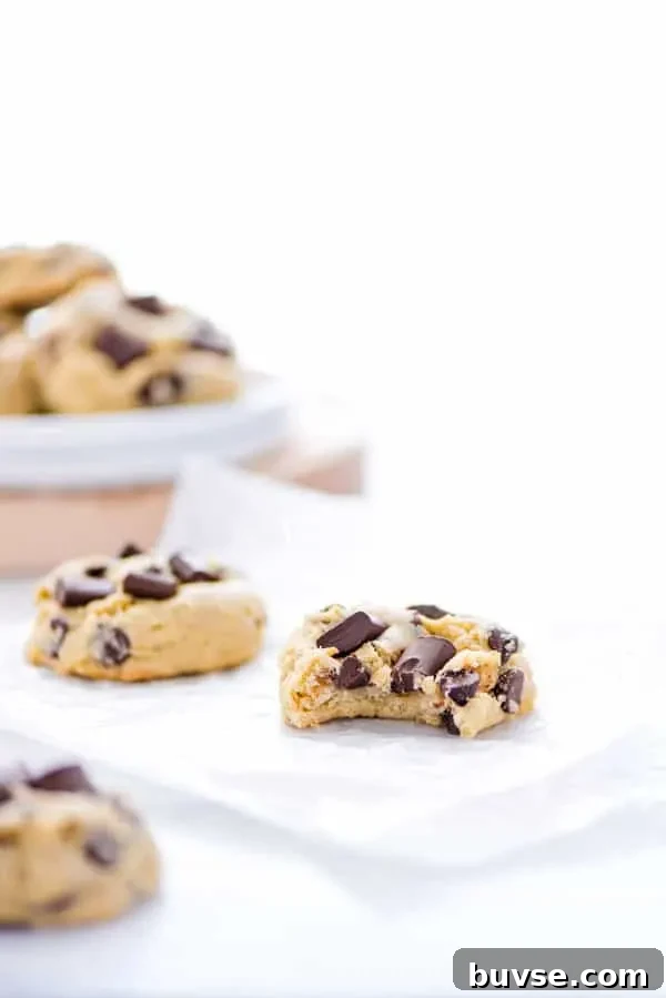 Gluten-Free Sourdough Chocolate Chip Cookies Recipe 5 A gluten free sourdough chocolate chip cookie with a bite taken out