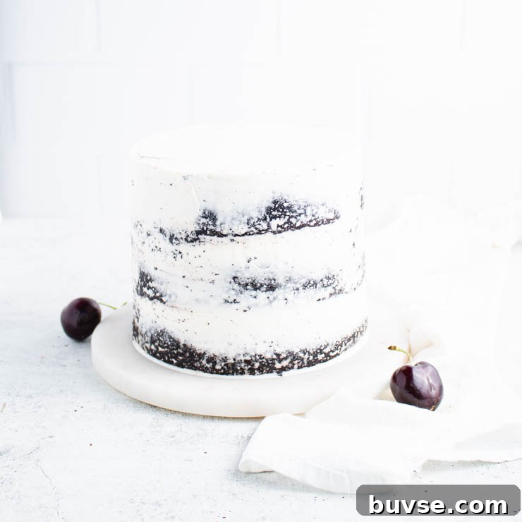 chocolate cake with a thin layer of vanilla frosting.