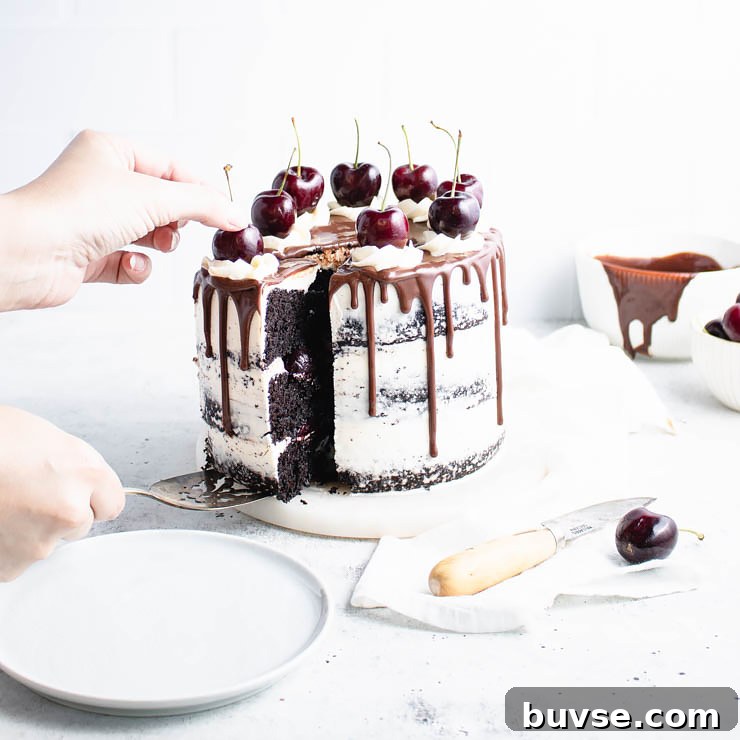 slice being removed from a chocolate cherry cake.