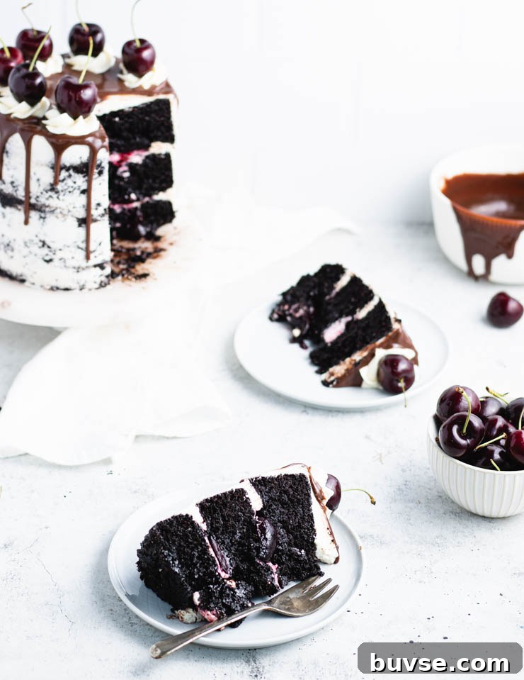 two plates with slices of black forest cake.