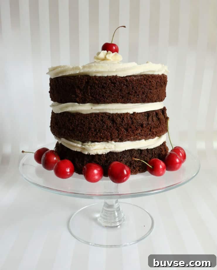Black Forest Cake
