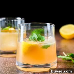 square photo of the two glasses with the amber drink with mint and lemon