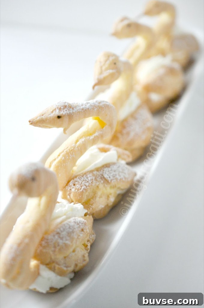 Cream Puffs and Eclairs {Baking Arts}