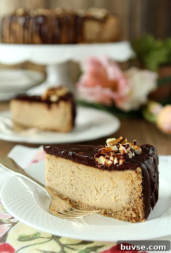 Chocolate Peanut Butter Cheesecake - Pretzel Crust