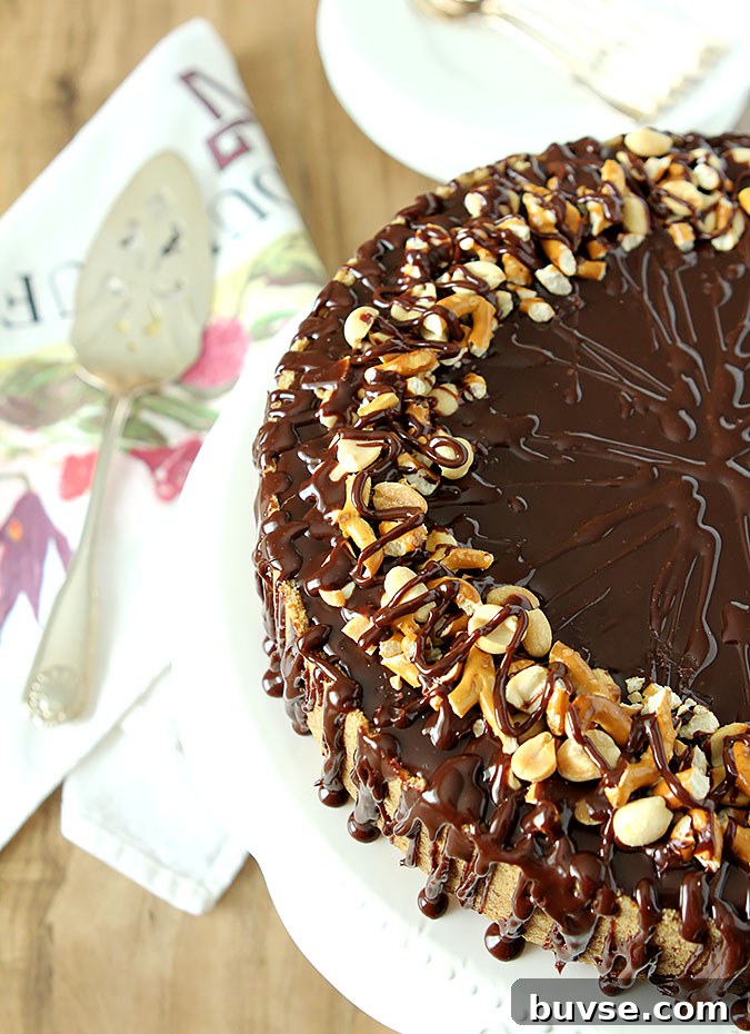 Chocolate Peanut Butter Cheesecake - Pretzel Crust