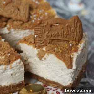A slice of biscoff chesecake.