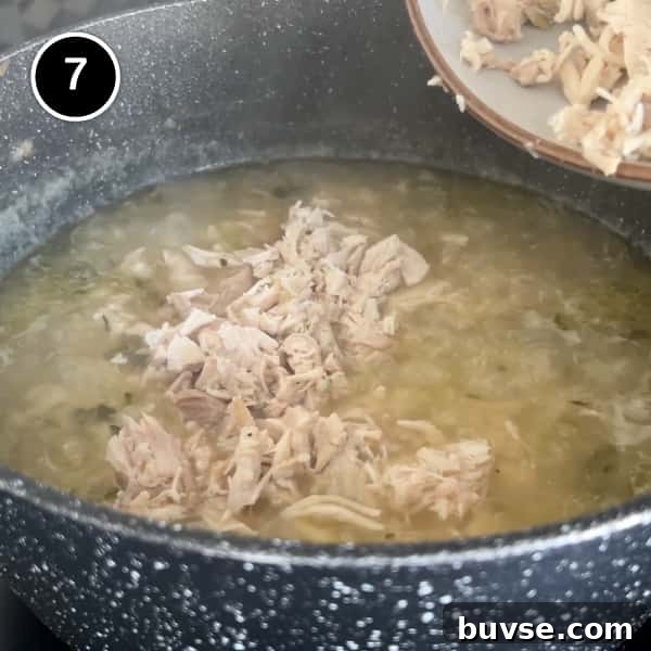Greek Lemon Orzo Soup with Chicken | cookeatworld.com Chopped cooked chicken thighs are returned to the pan of soup.