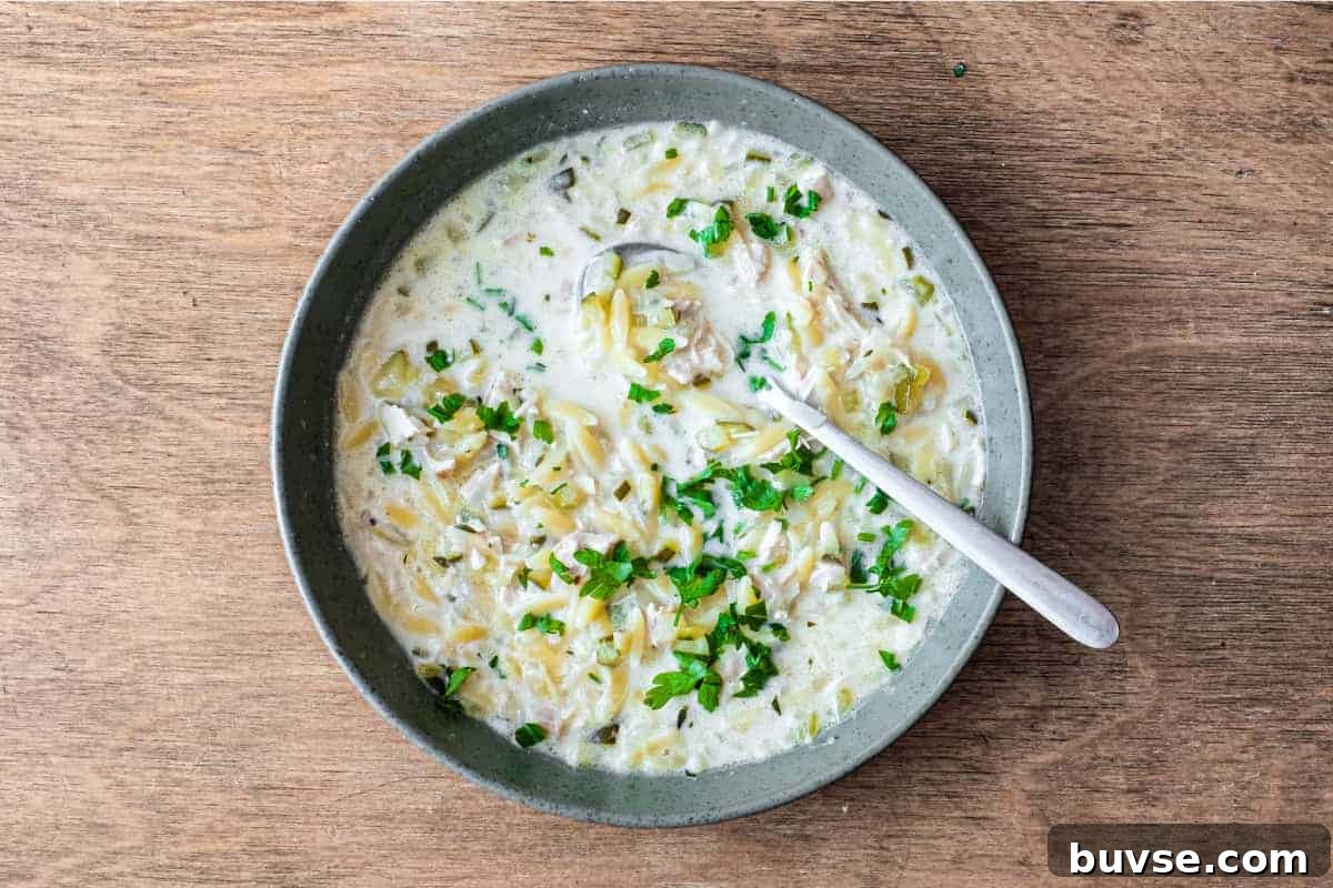 Greek Lemon Chicken and Orzo Soup Recipe 2 A bowl of Greek lemon orzo soup with chicken with a spoon