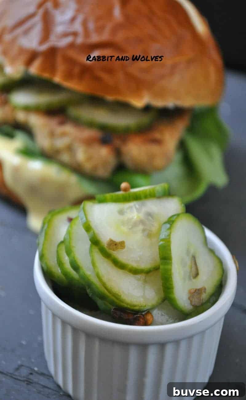 Vegan Seitan Chicken Sandwich with Quick Pickle & Sweet Mustard 3 dsc_0005