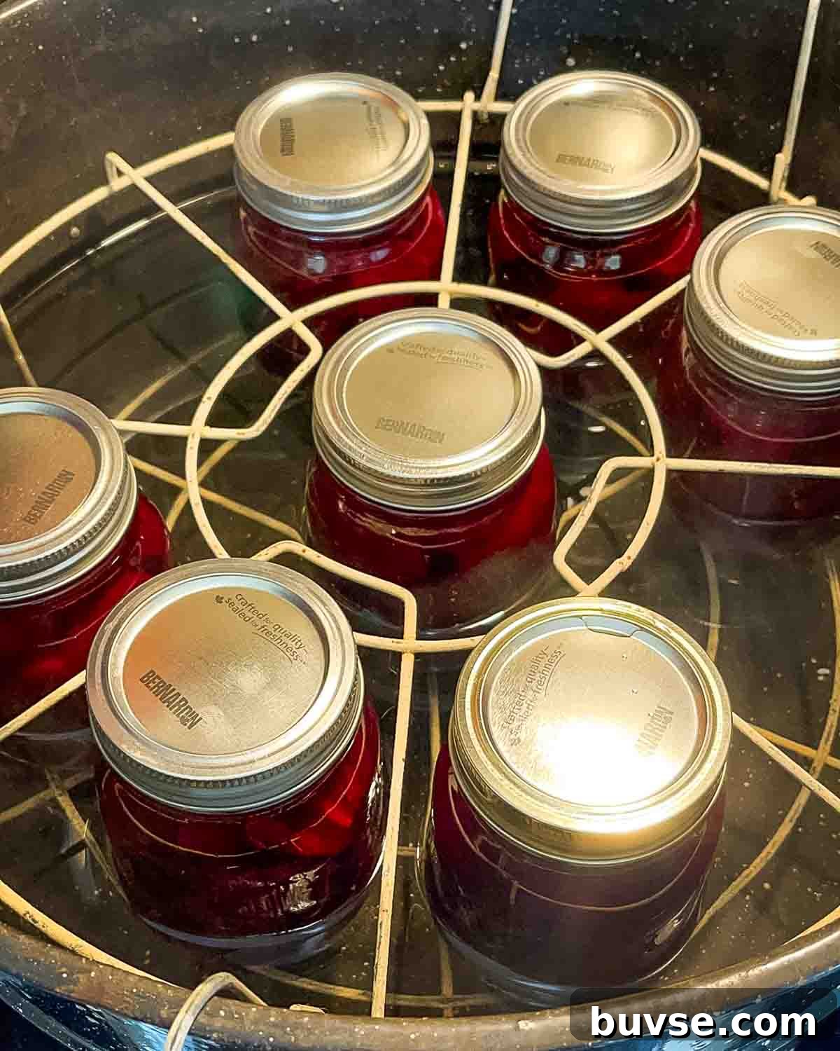 Homemade Old-Fashioned Pickled Beets Recipe 14 Filled jars in the canning rack of the canner.