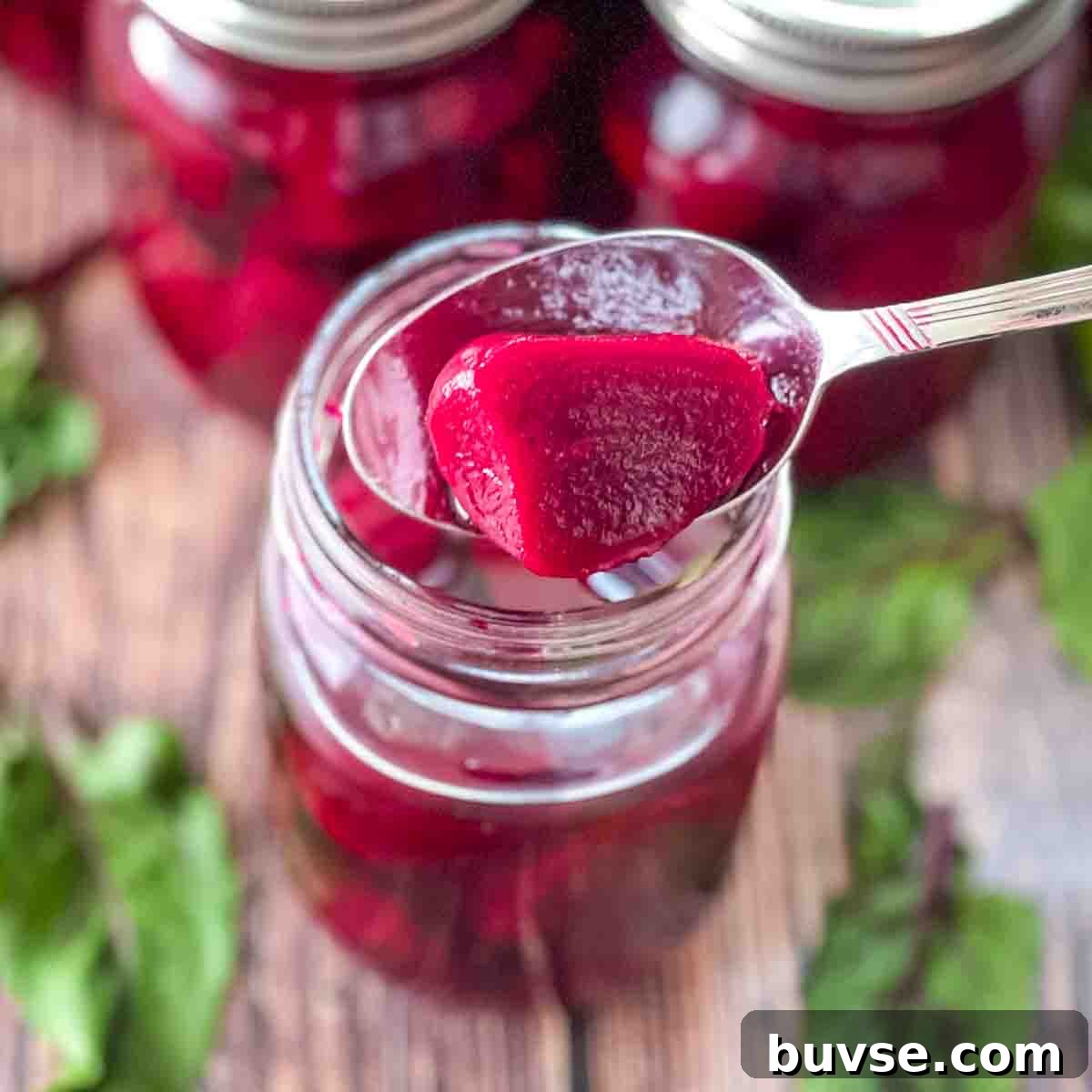 Homemade Old-Fashioned Pickled Beets Recipe 16 A spoon lifting up a beet pickle from a jar.