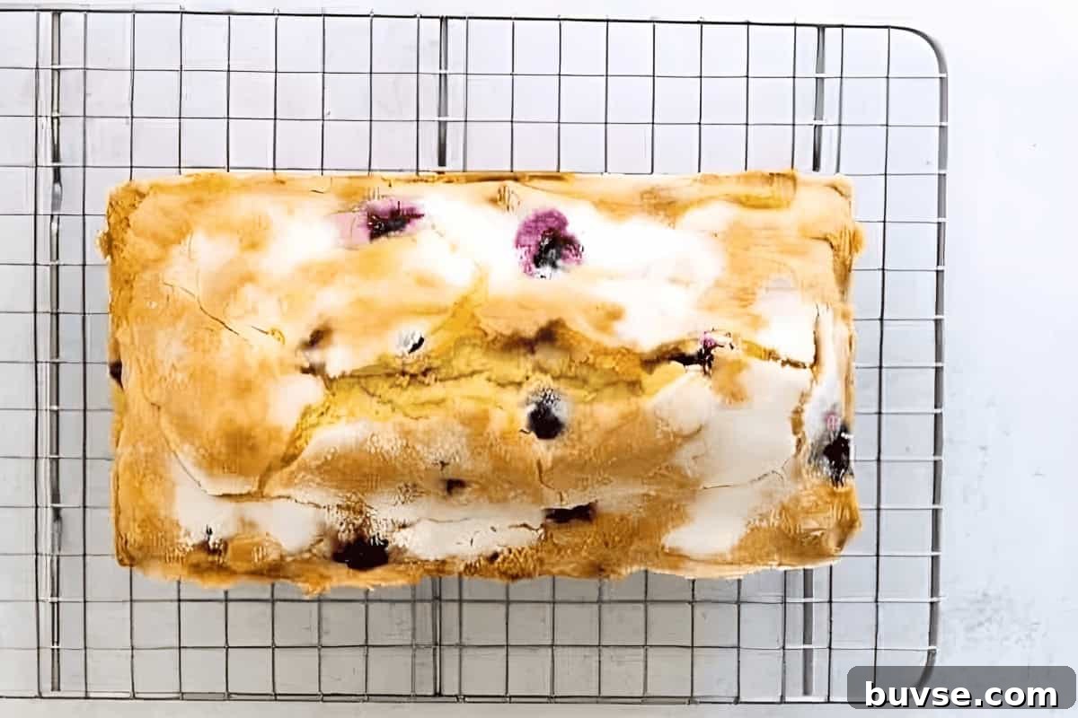 baked sugar-topped blueberry lemon pound cake on a wire rack.