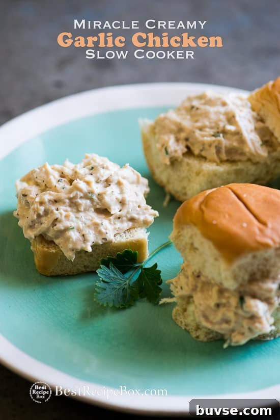 Miracle Creamy Garlic Chicken in Slow Cooker on a plate 