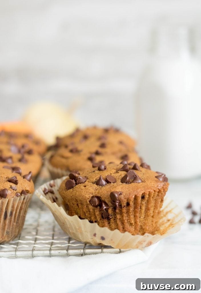 Chocolate chip pumpkin muffin close up with a bottle of milk in the background