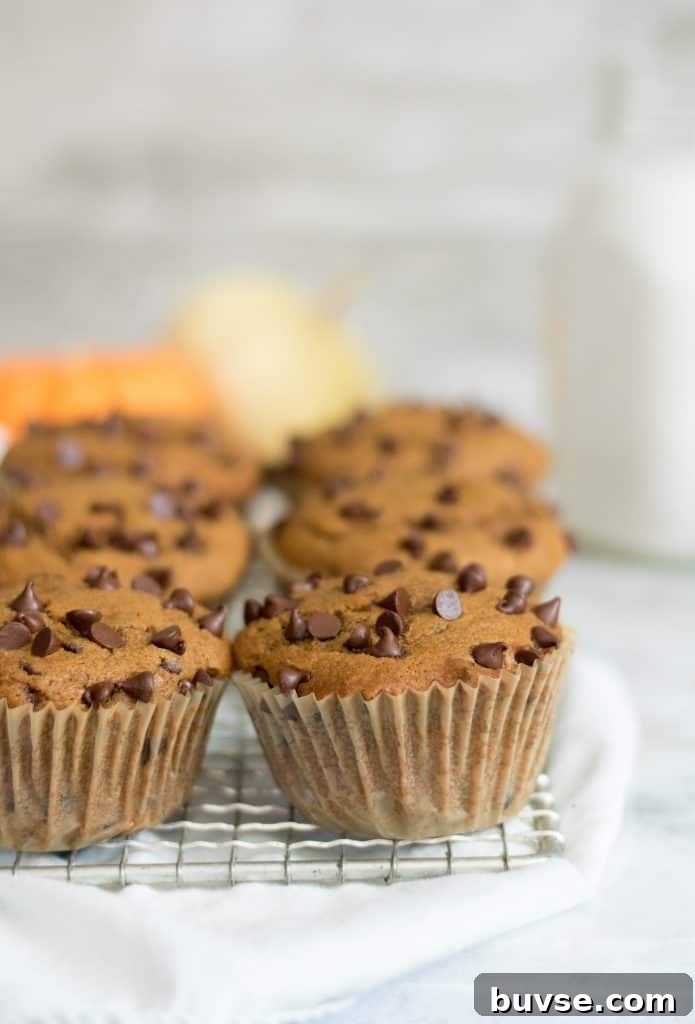 Close up of the mini chocolate chip muffins on a cooling rack