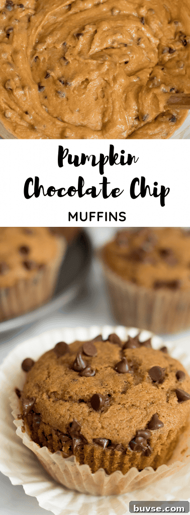 Long pins of the pumpkin chocolate chip muffins recipe for Pinterest