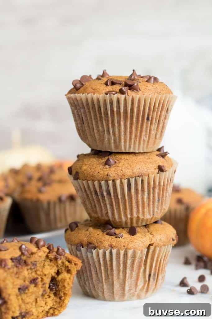 Tall stack of chocolate chip muffins.