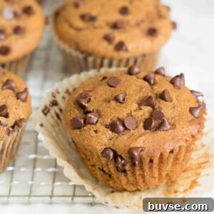 Chocolate Chip pumpkin muffins