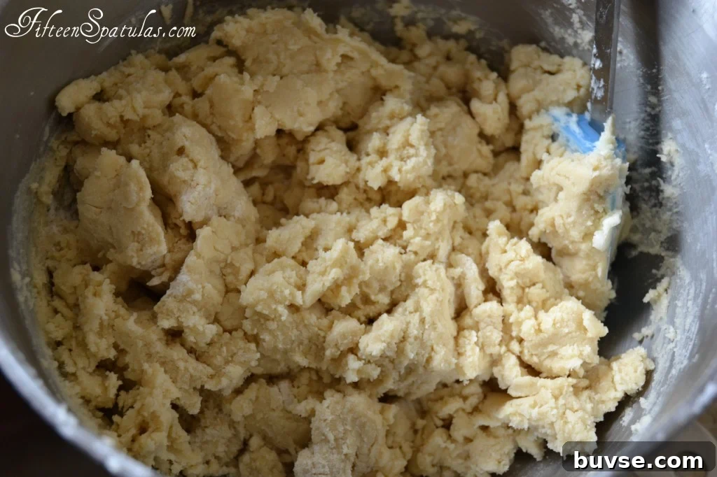 Mixing Bowl with Vanilla Cookie Dough
