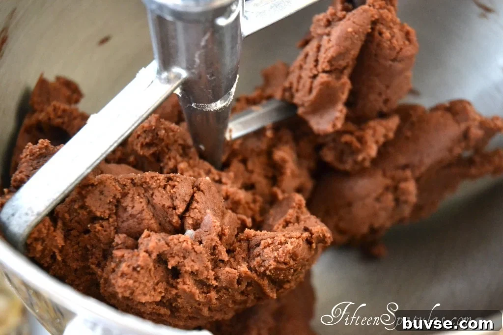 Chocolate Cookie Dough in Mixing with Paddle Attachment