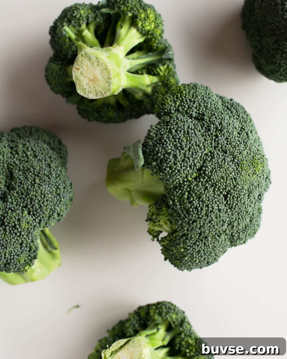 fresh broccoli to use for broccoli prep and store
