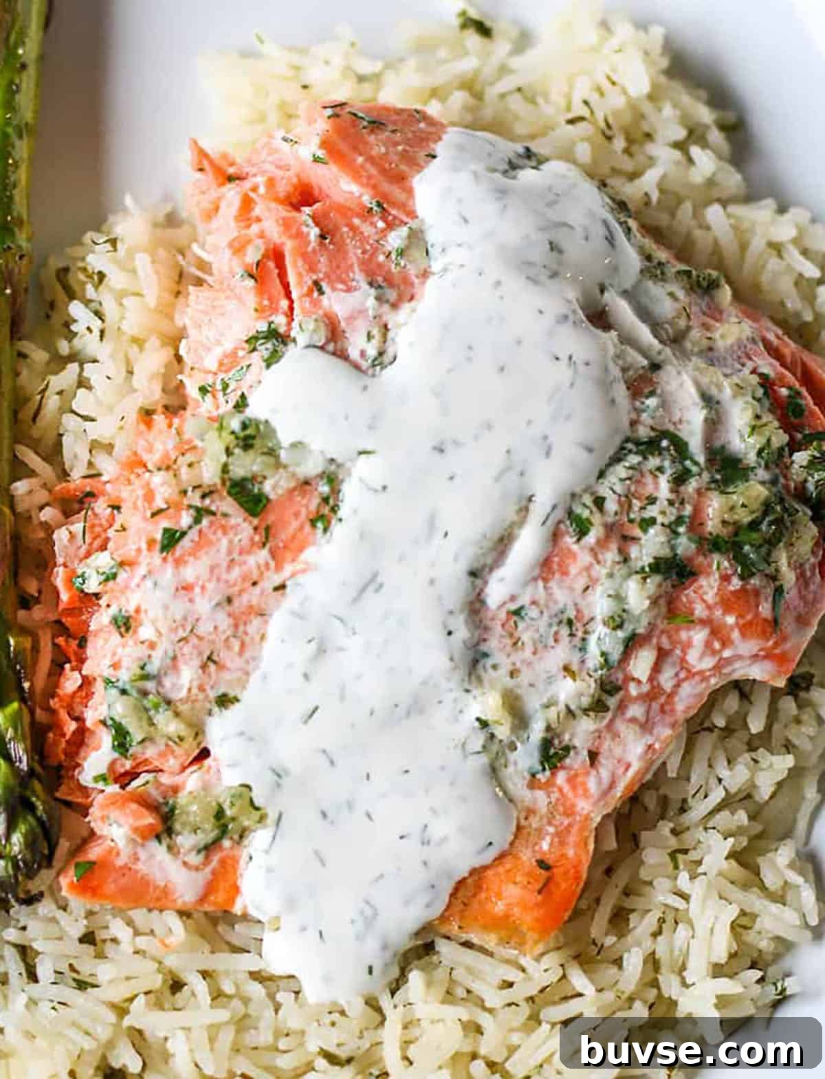 Baked salmon filet onto of rice with a creamy white sauce. 