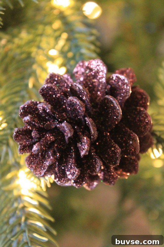 tree with pinecones and berries