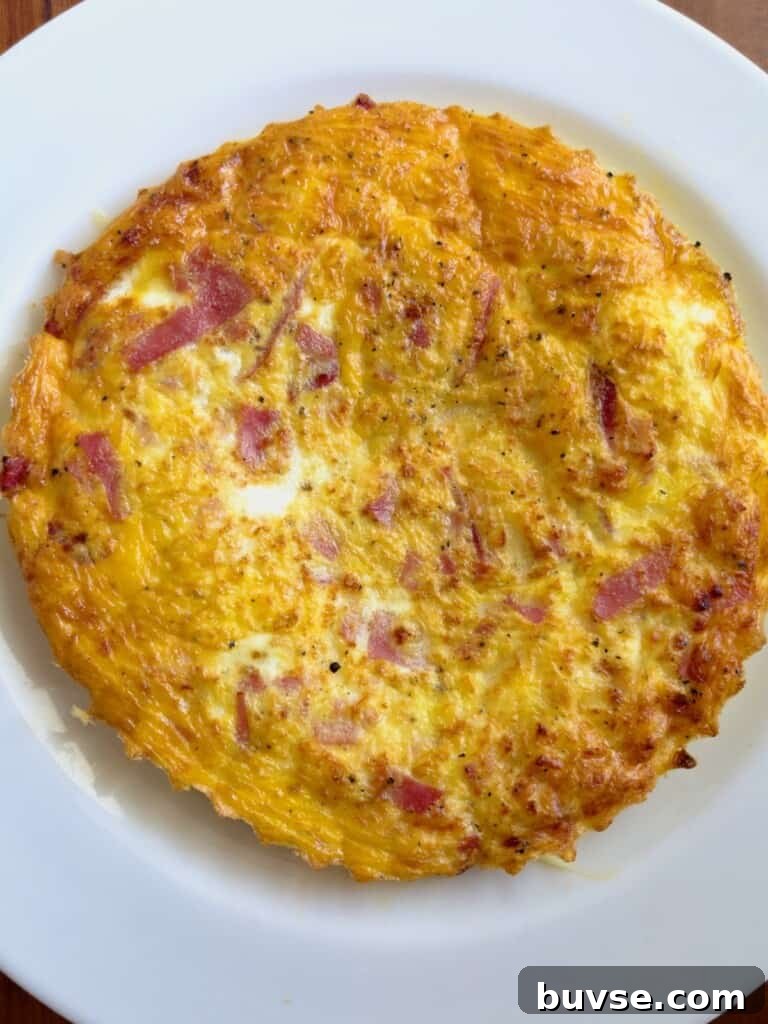 air fryer ham and cheese omelet finished and ready to eat