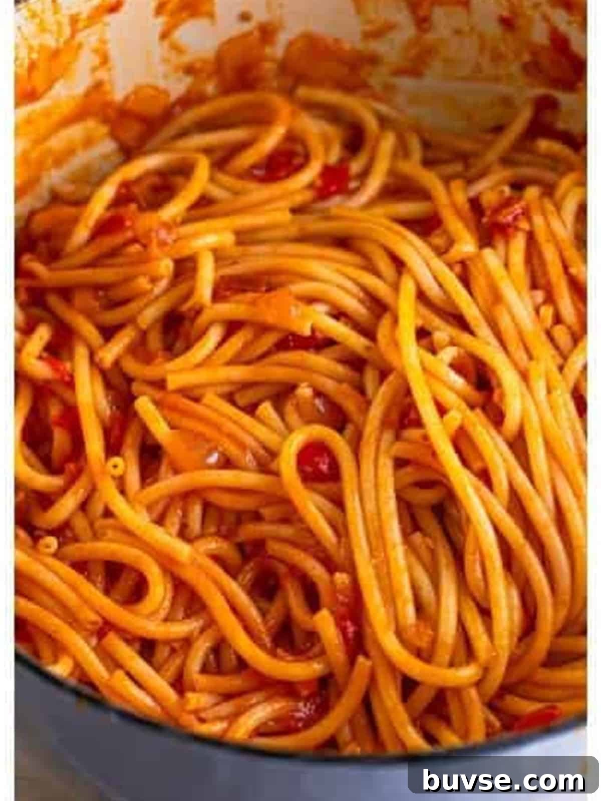 Amatriciana Pasta (Bucatini) - Authentic Italian Recipe 8 Bucatini tossed in the amatriciana sauce with reserved pasta water until coated.