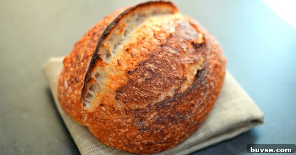rustic bread made using dutch oven