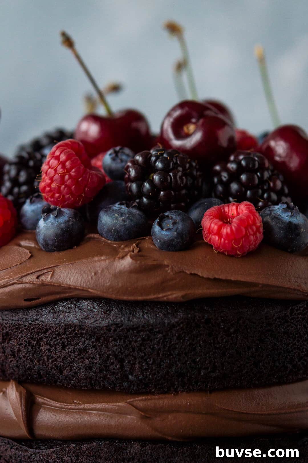 Close up of berries on top of vegan chocolate cake with vegan ganache