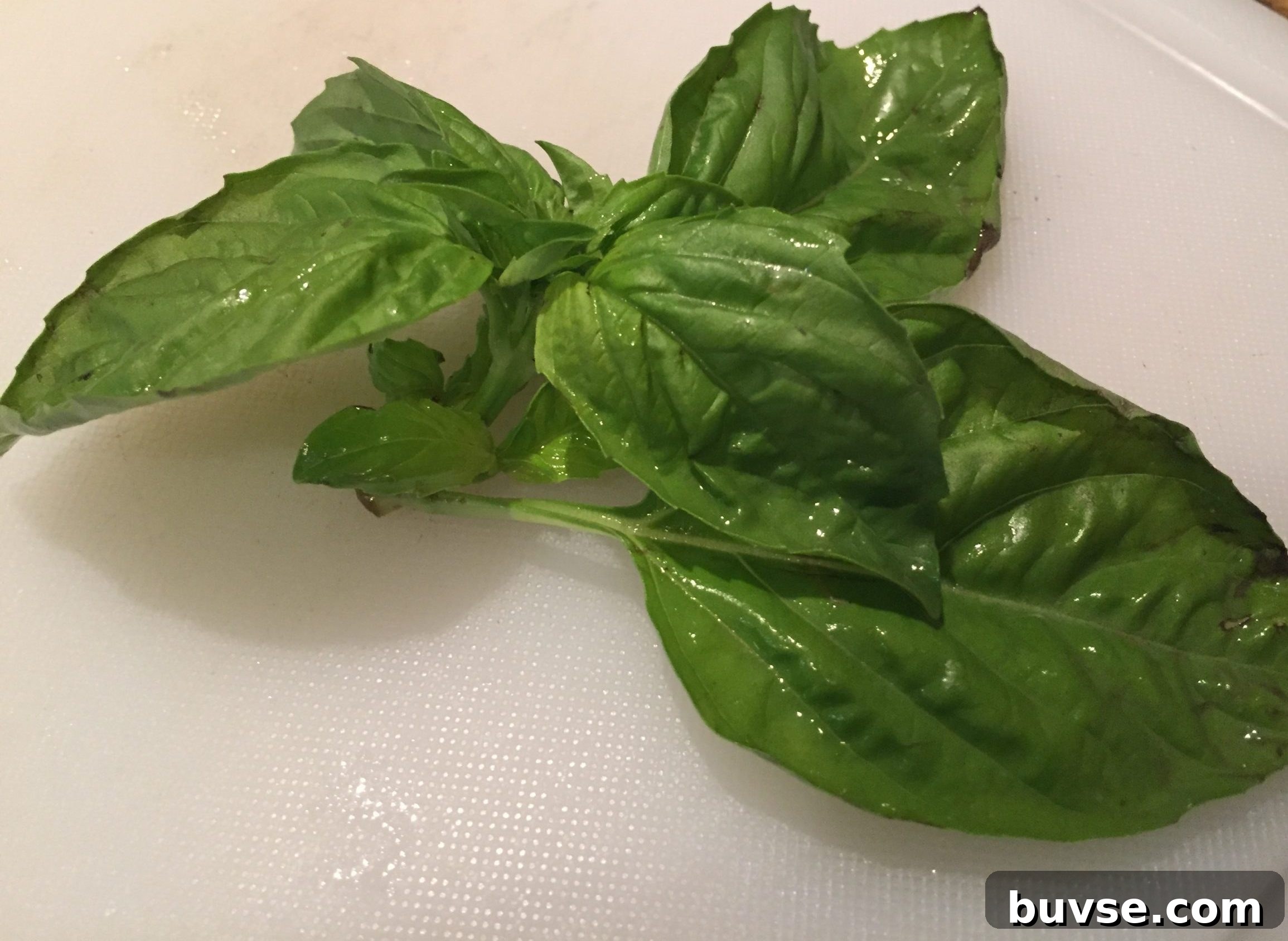 Fresh basil