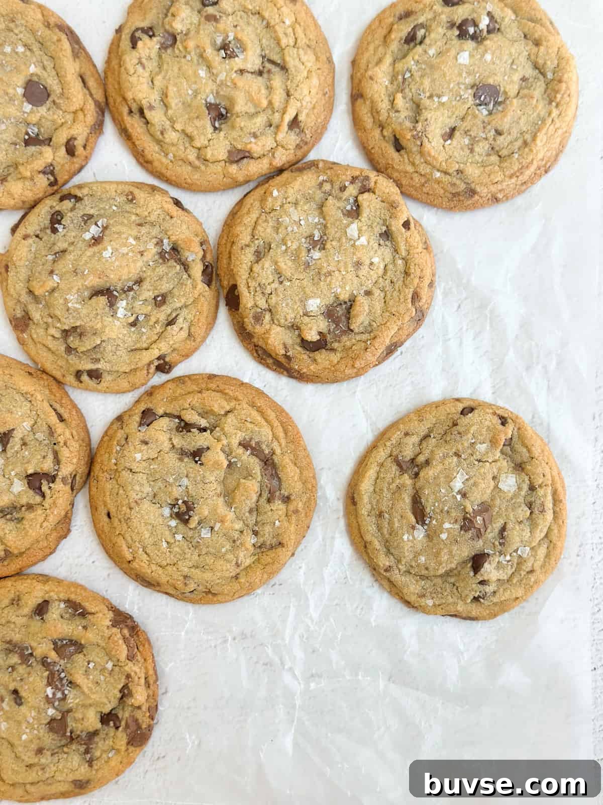 a bunch of brown butter chocolate chip cookies laying flat so you can see them all.