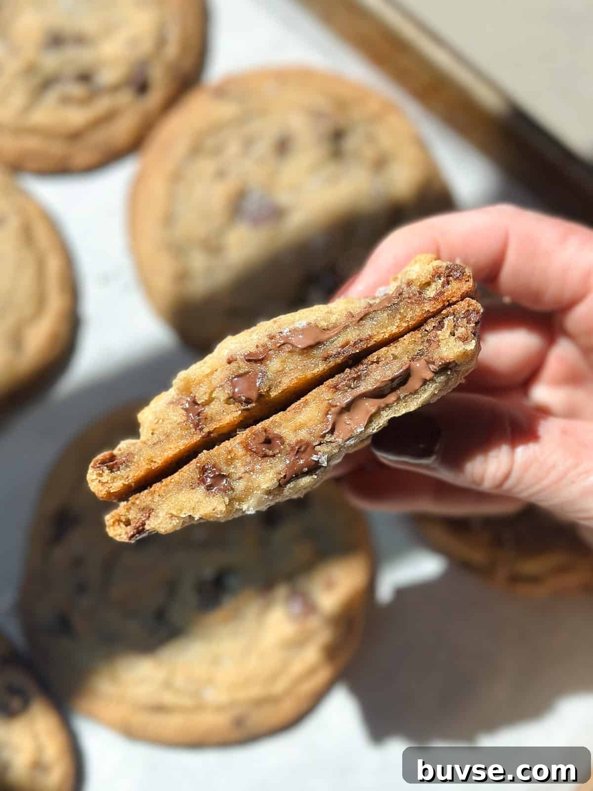 a close up of a cookie broken in half to see the inside texture.