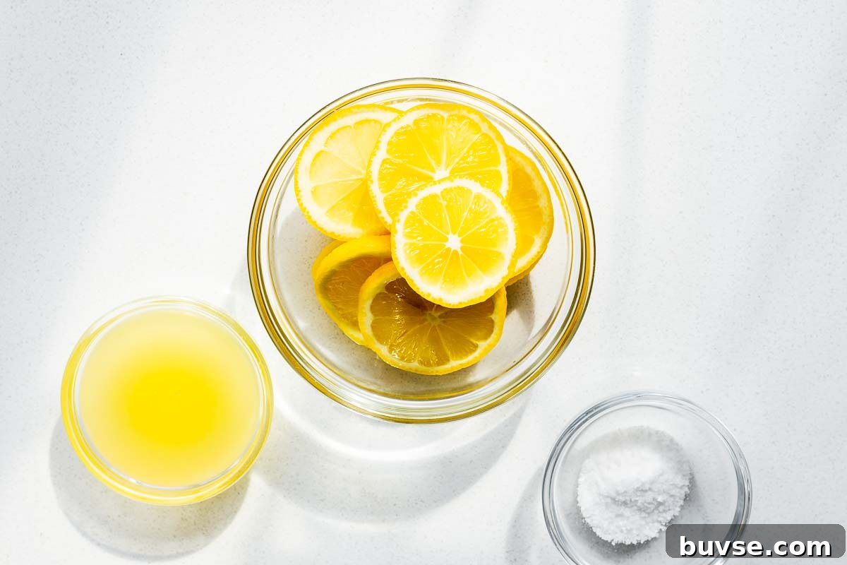 Preserved Lemon Substitute: What to Use Instead 4 Lemon slices in a glass bowl in direct sunlight viewed from above. Two smaller glass bowls contain lemon juice and salt.