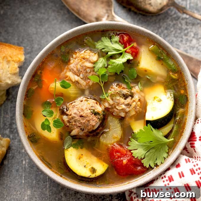 Cook Once, Eat Twice: Budget Recipes for Delicious Leftovers 12 top view of a bowl of Mexican Meatball Soup garnished with cilantro