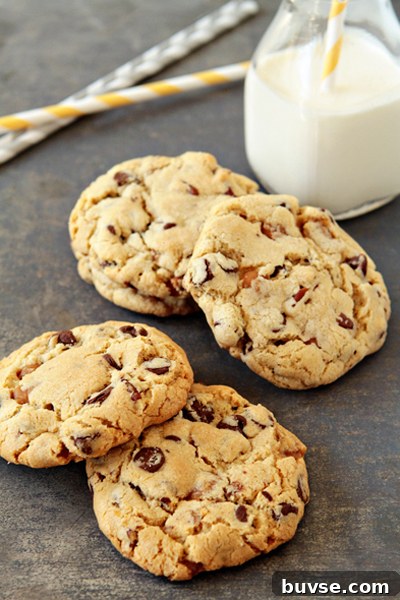 Turtle Cookies