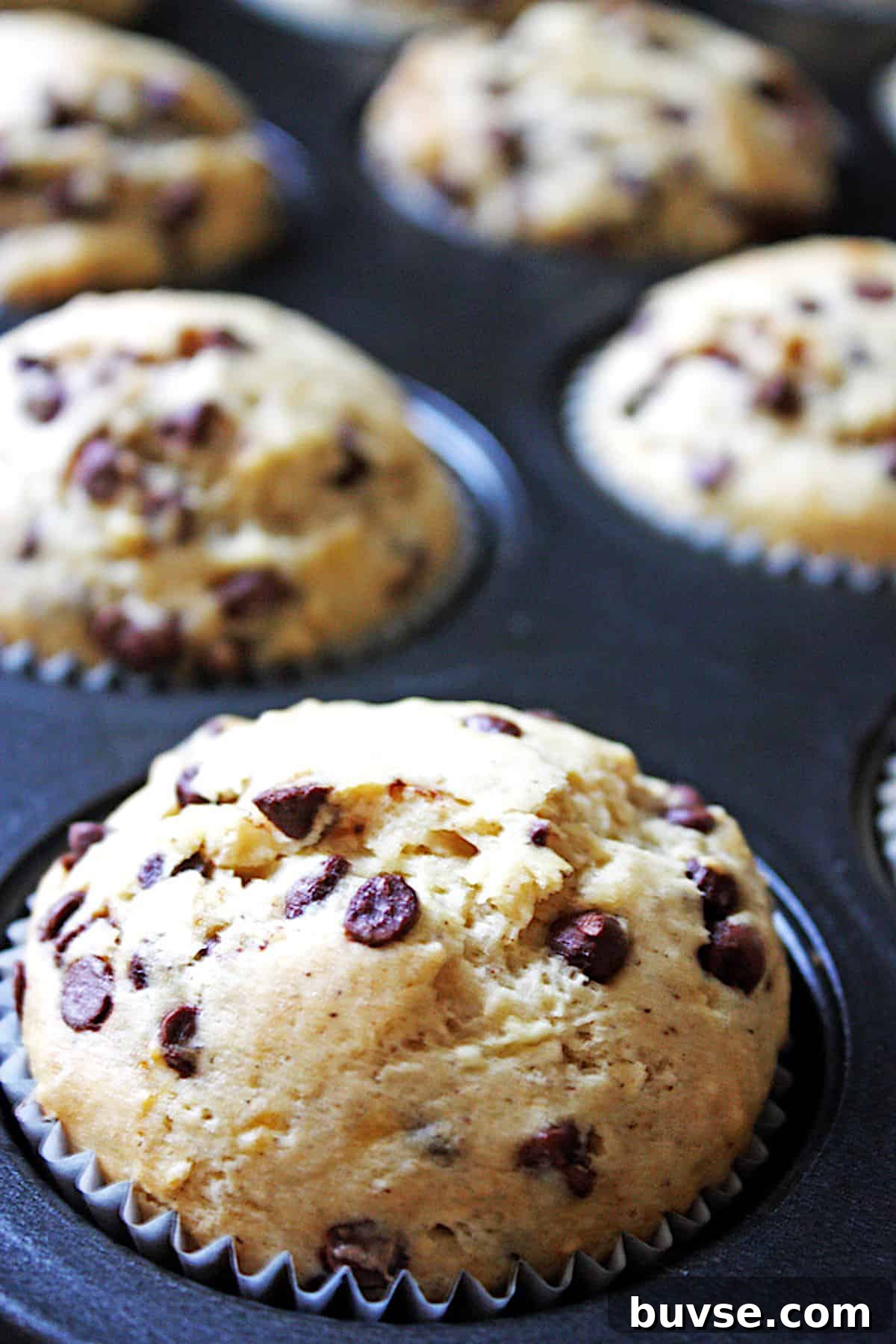 banana nut chocolate chip muffin 4