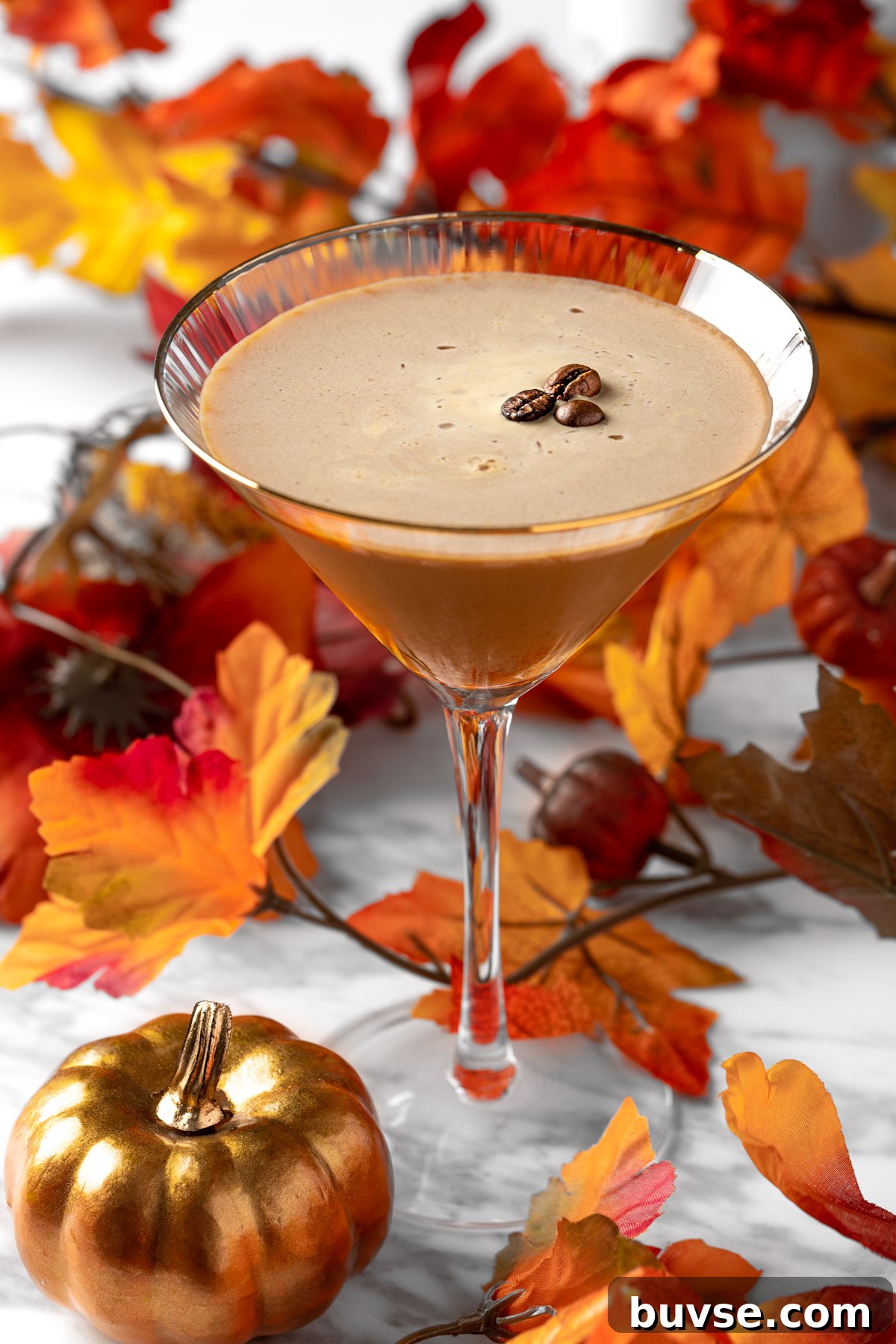 Pumpkin Spice Espresso Martini Cocktail Recipe 2 A pumpkin spice espresso martini garnished with three coffee beans, next to orange fall leaves and pumpkins.