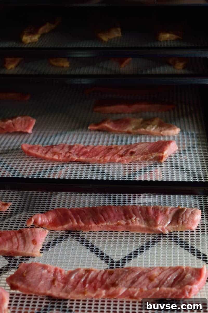 Sweet Cherry Beef Jerky Dehydrator