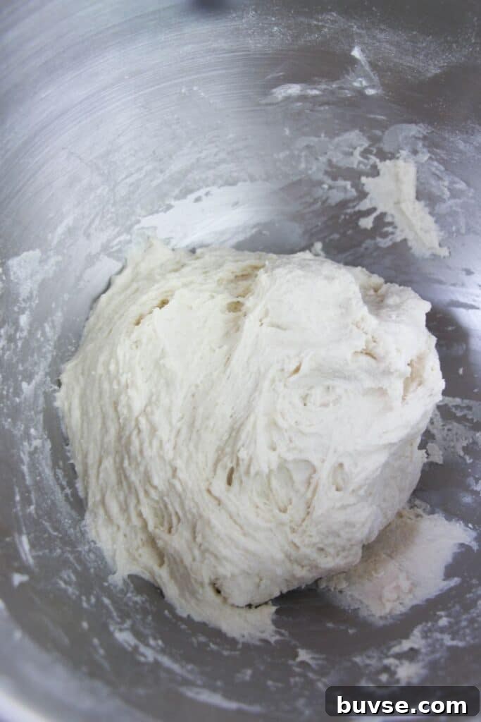mixing bagel dough in stand mixer
