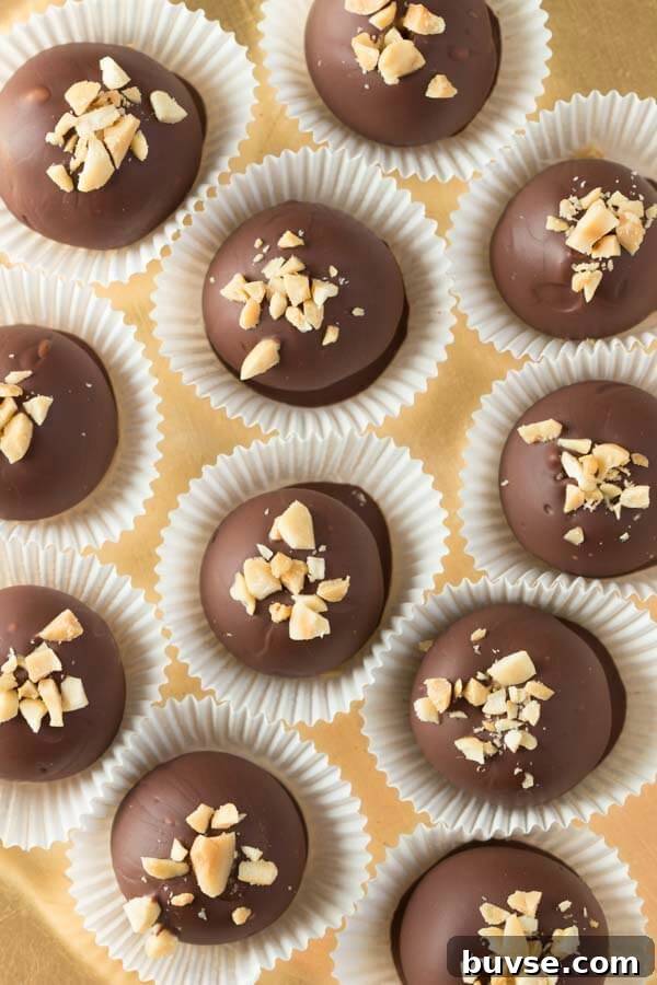 Peanut Butter Truffles - creamy peanut butter coated in chocolate and topped with peanuts!