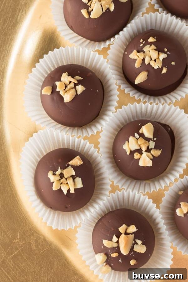 Peanut Butter Truffles - creamy peanut butter coated in chocolate and topped with peanuts!